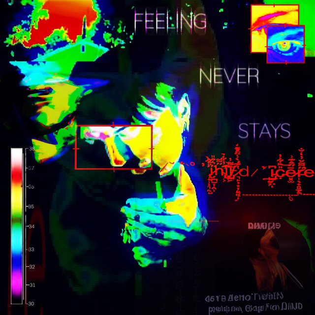 Feeling Never Stays cover art