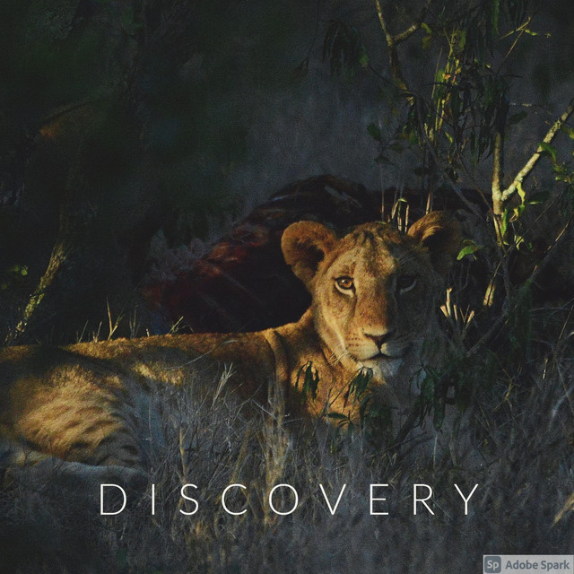 Discovery