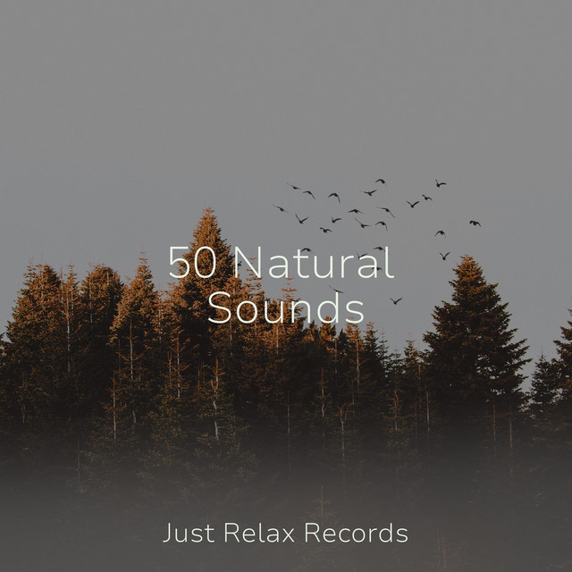 50 Natural Sounds - Album by Lounge relax | Spotify