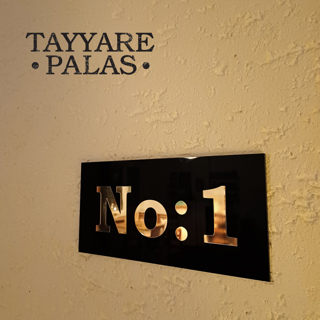 Tayyare Palas No:1 cover art