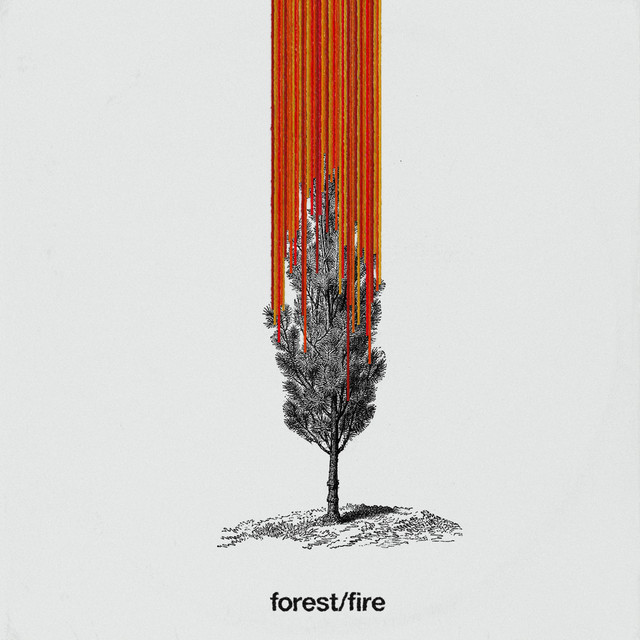 forest/fire cover art