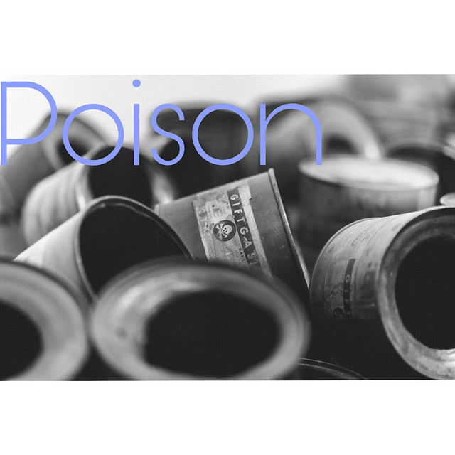 Poison (Freestyle)