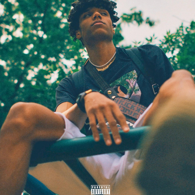 Popular Loner cover art