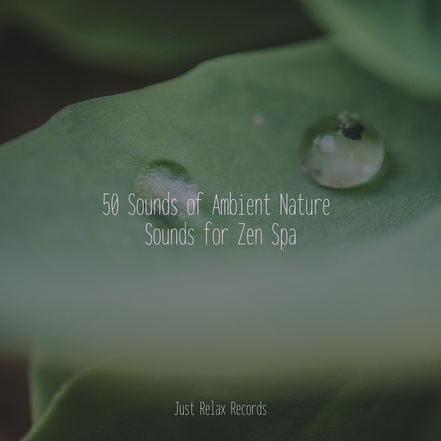 50 Sounds of Ambient Nature Sounds for Zen Spa - Album by Study Music ...