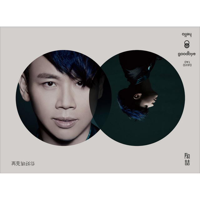 再見你好嗎 cover art