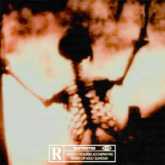 AMBUSH! cover art