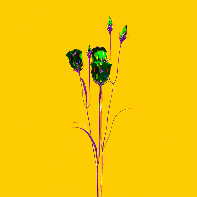 Escape cover art