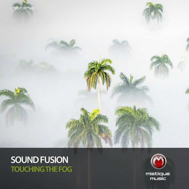 Touching the Fog album art