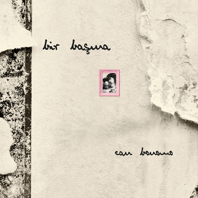 Bir Başına cover art