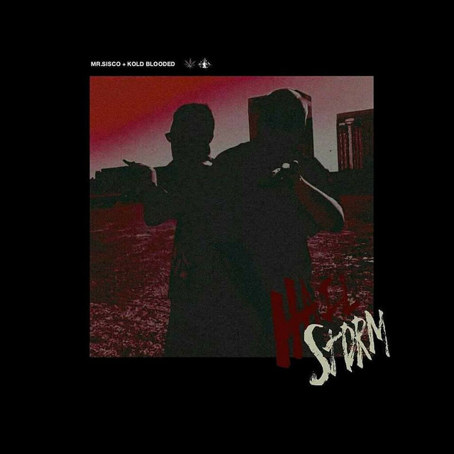 Hail Storm cover art