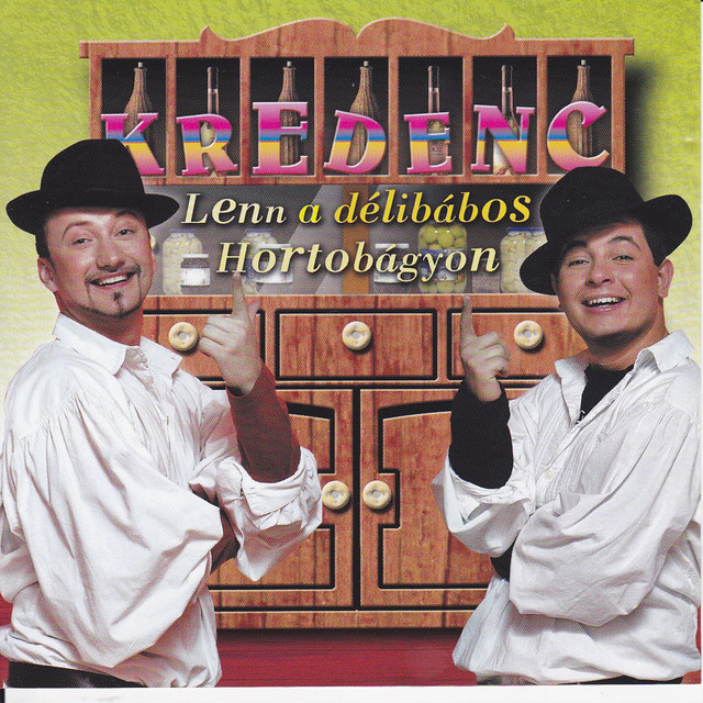 Lenn a délibábos Hortobágyon cover