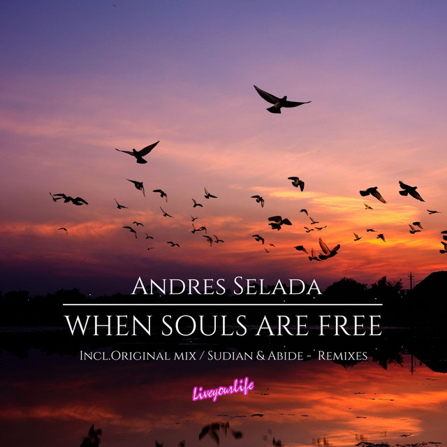 When Souls Are Free cover art