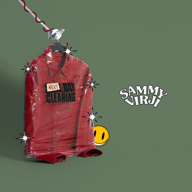 Next Day Cleaning cover art