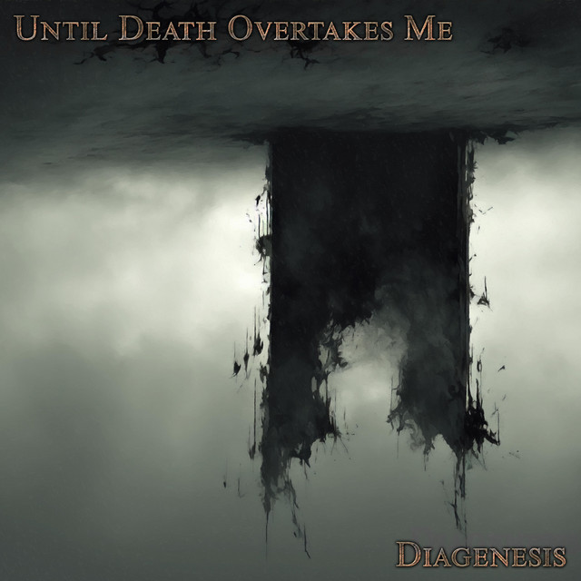 Diagenesis cover