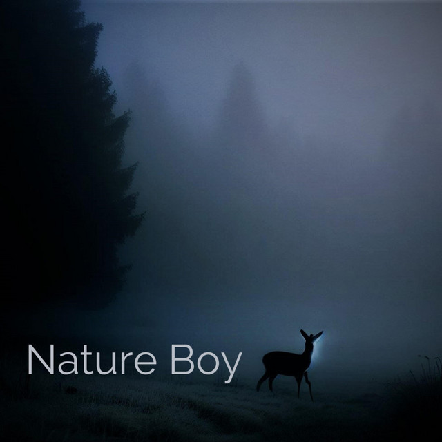 Nature Boy cover art