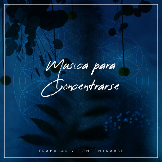 Musica para concentrarse album de trabajar y concentrarse spotify