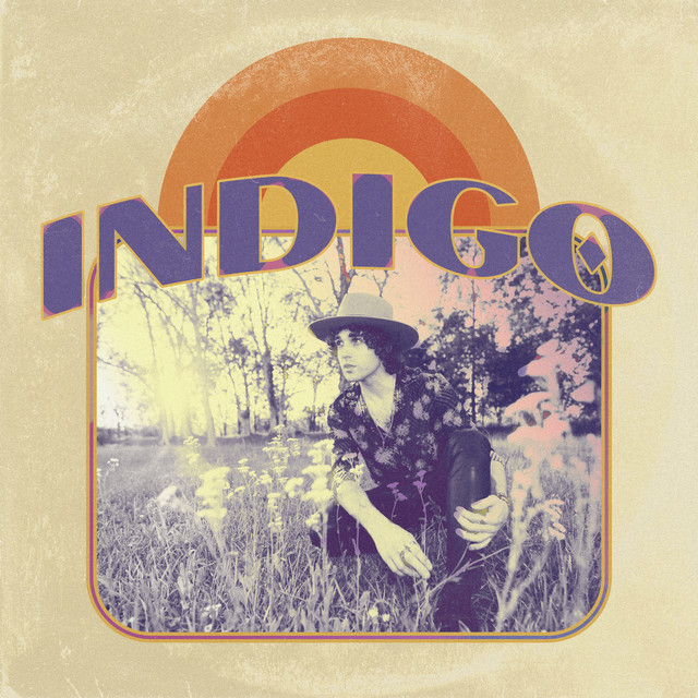 Indigo cover art