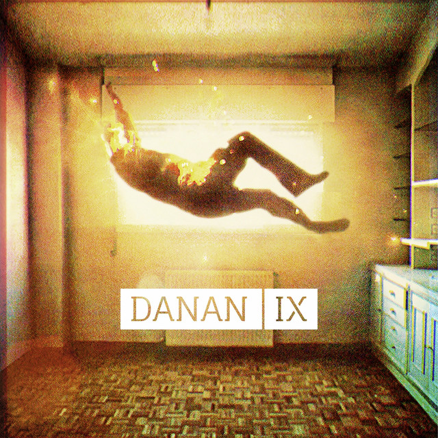 IX cover art