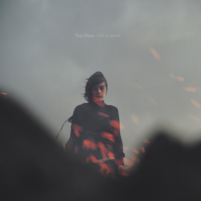Life On Earth cover art