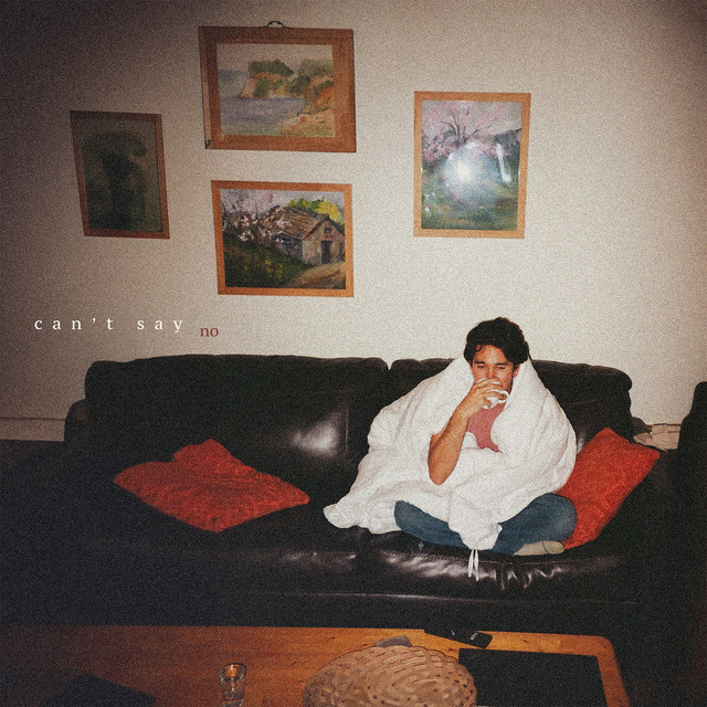 Can't Say No album image