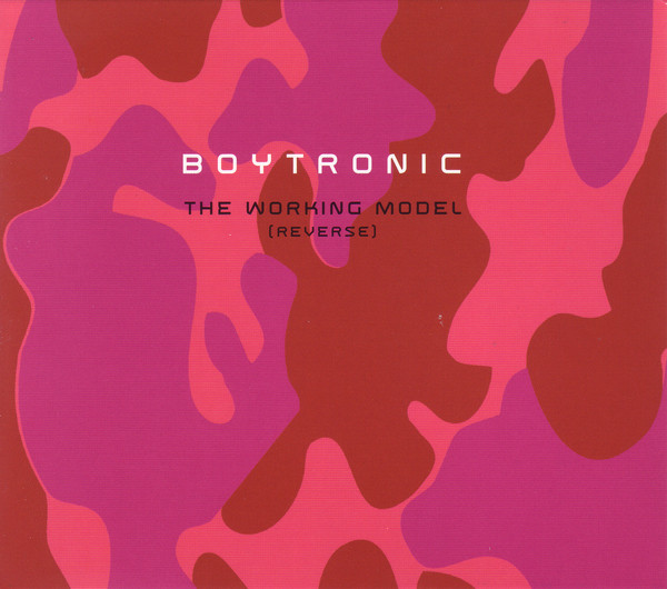 The Working Model (Reverse) cover art