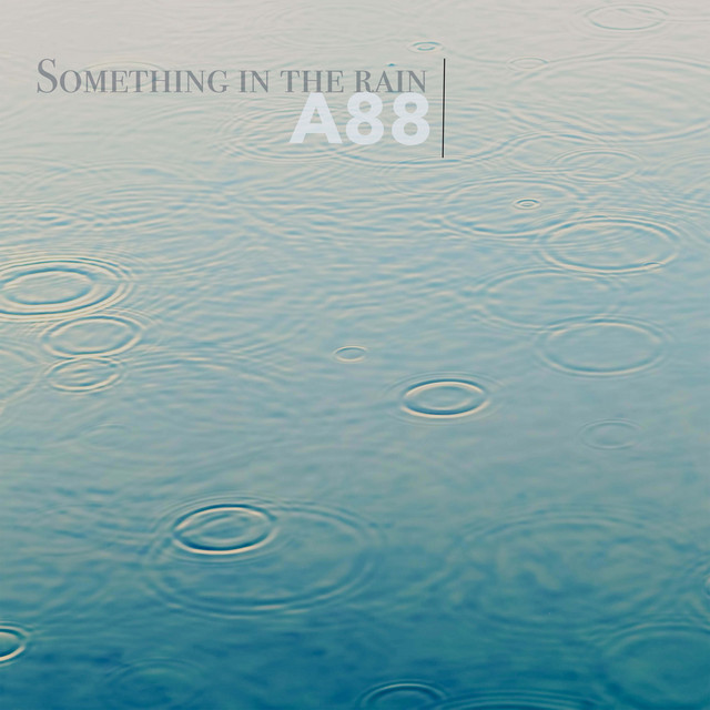 Something in the rain cover