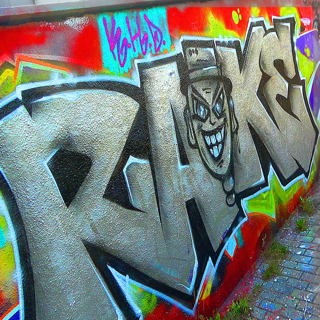 Rake cover