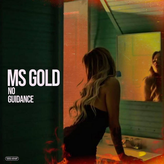 NO GUIDANCE cover art