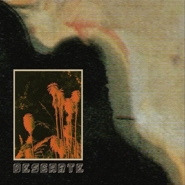Descarte cover art