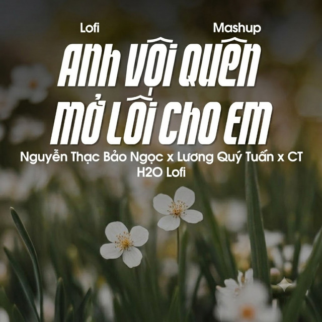 Mashup Anh Vội Quên x Mở Lối Cho Em (Lofi)