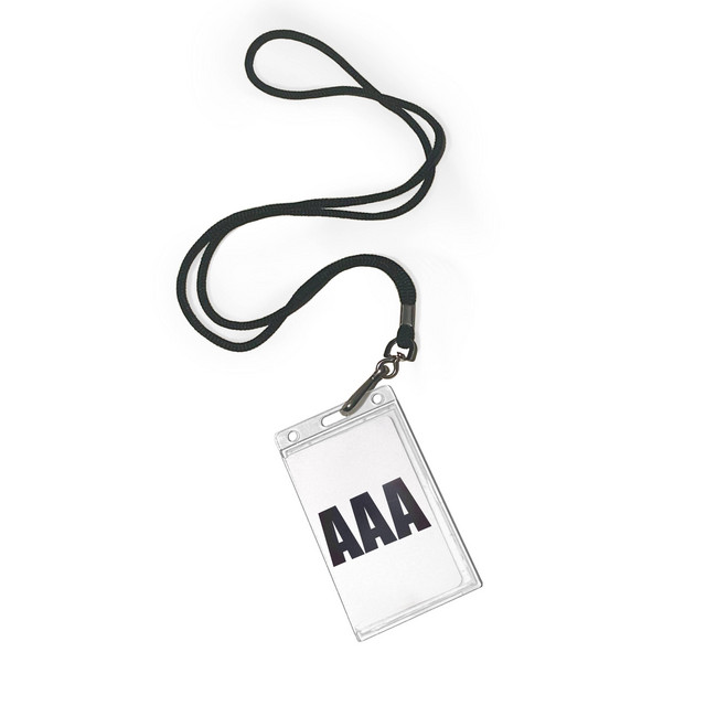 AAA cover art