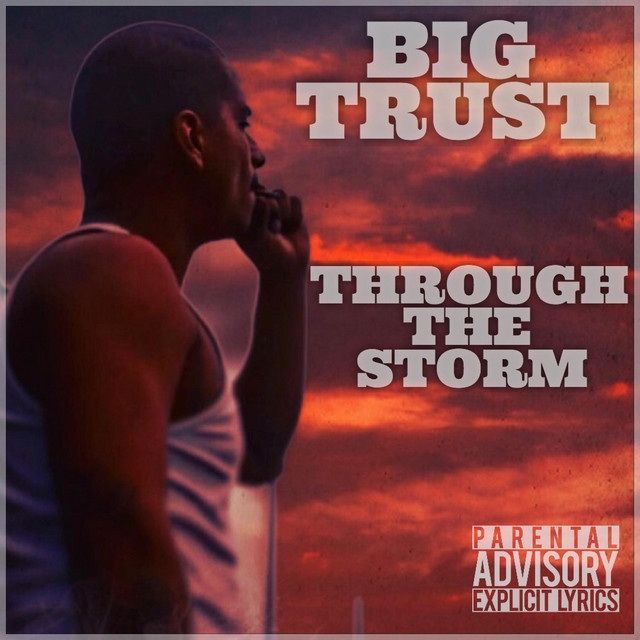 Through the Storm cover art