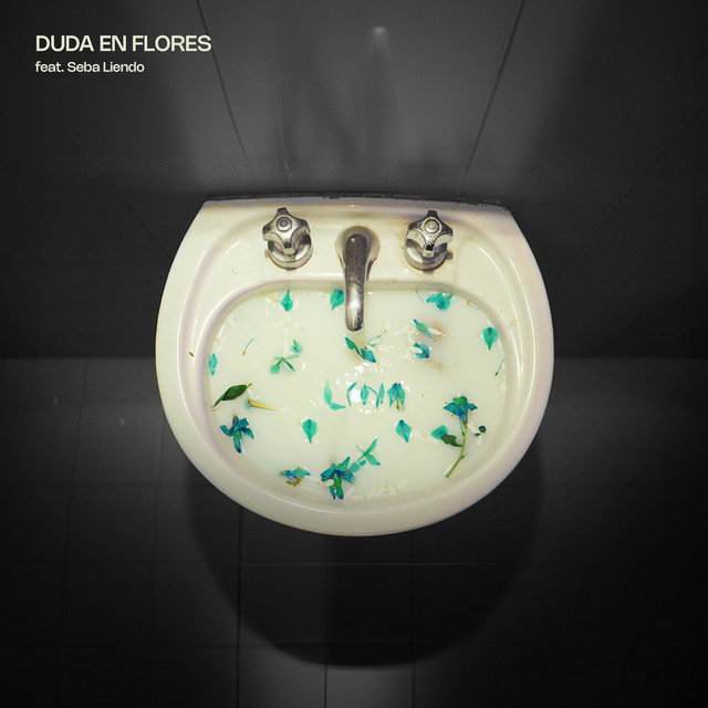 Duda en Flores cover art