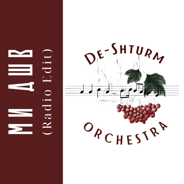 Обкладинка: Ми Д.Ш.В - Radio Edit — De-Shturm orchestra
