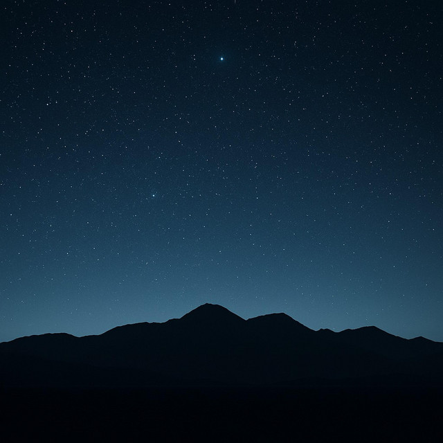 North Node in Capricorn — True North