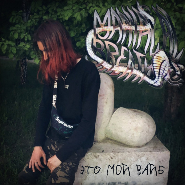ЭТО МОЙ ВАЙБ cover art