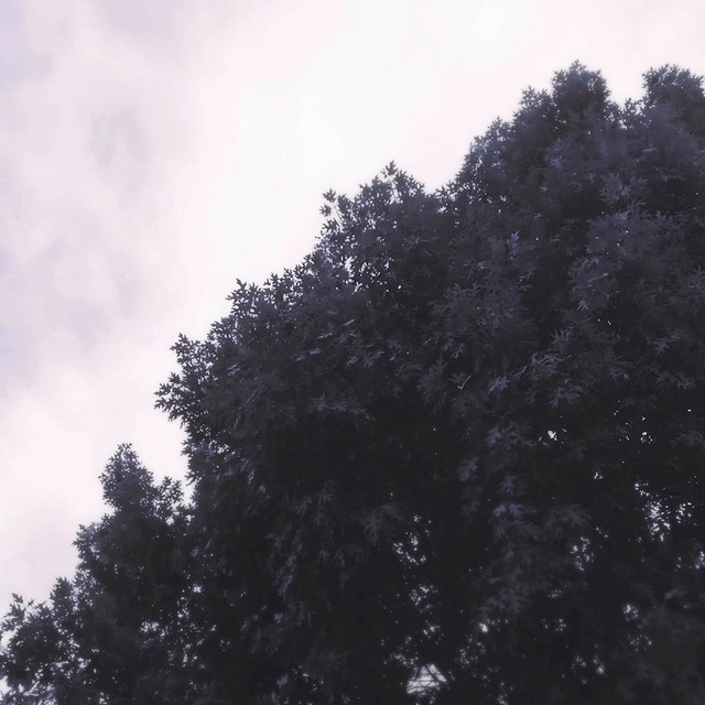 Maranatha (Wilderness)
