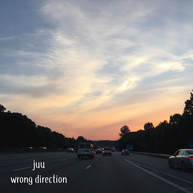 Wrong Direction cover art