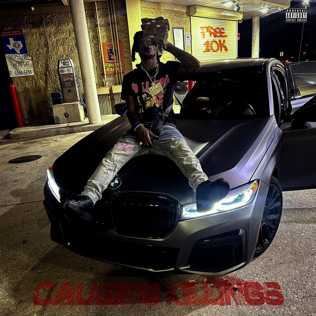 Causing Killings cover art