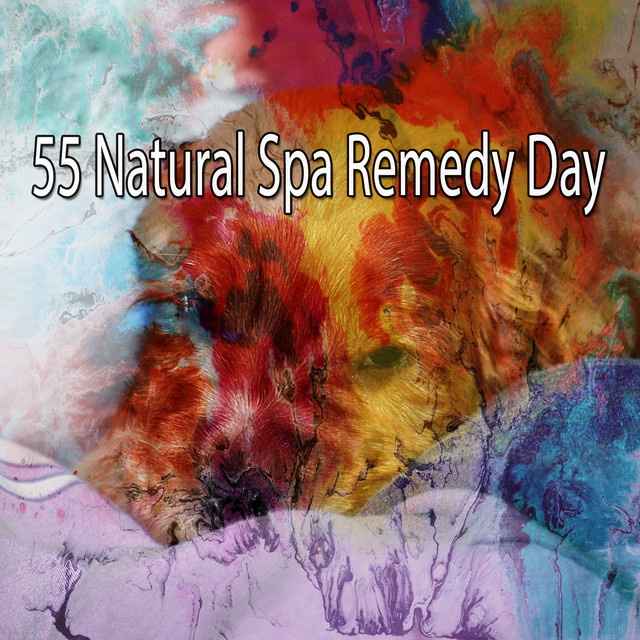 55 Natural Spa Remedy Day cover art