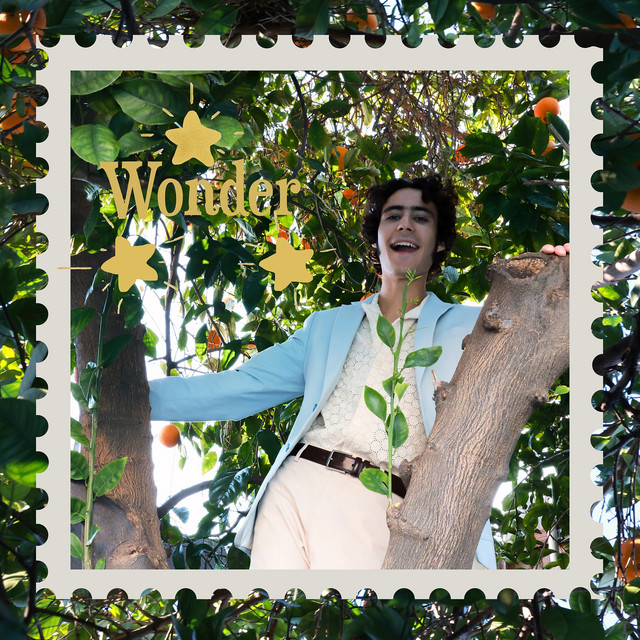 Wonder cover