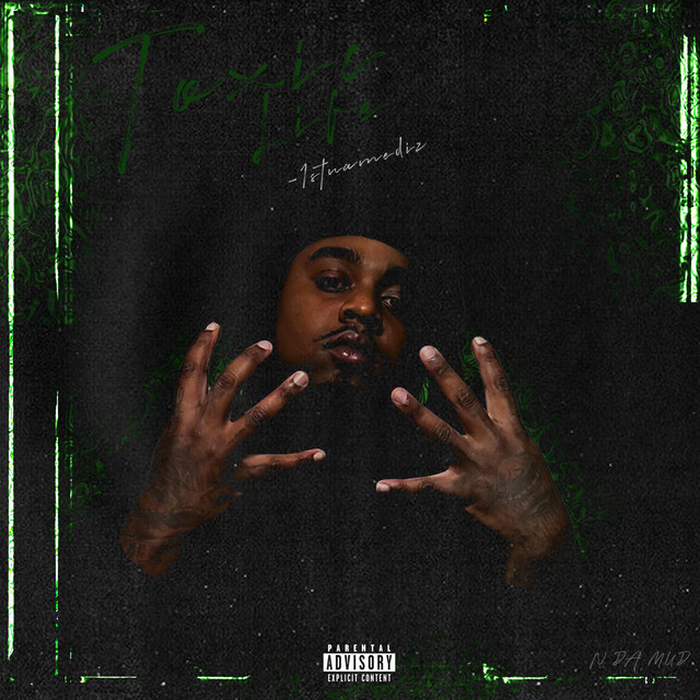 Toxic Life cover art