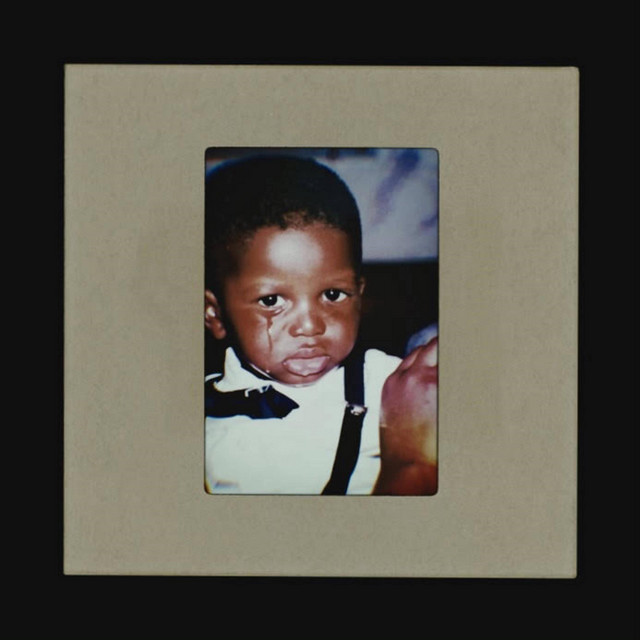 (V)IVRE cover art