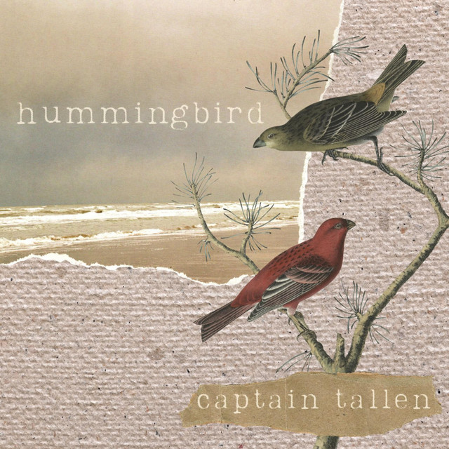 Hummingbird - Single by Captain Tallen | Spotify