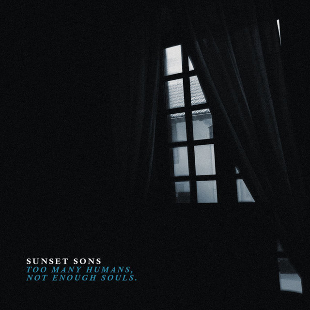 Too Many Humans, Not Enough Souls. cover art