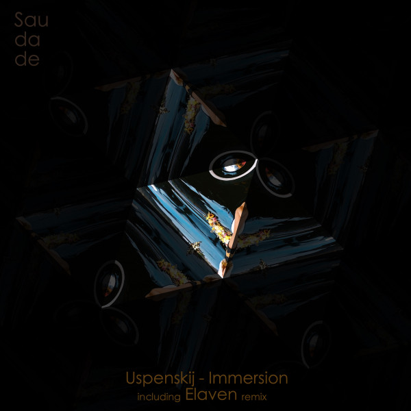 Immersion cover art