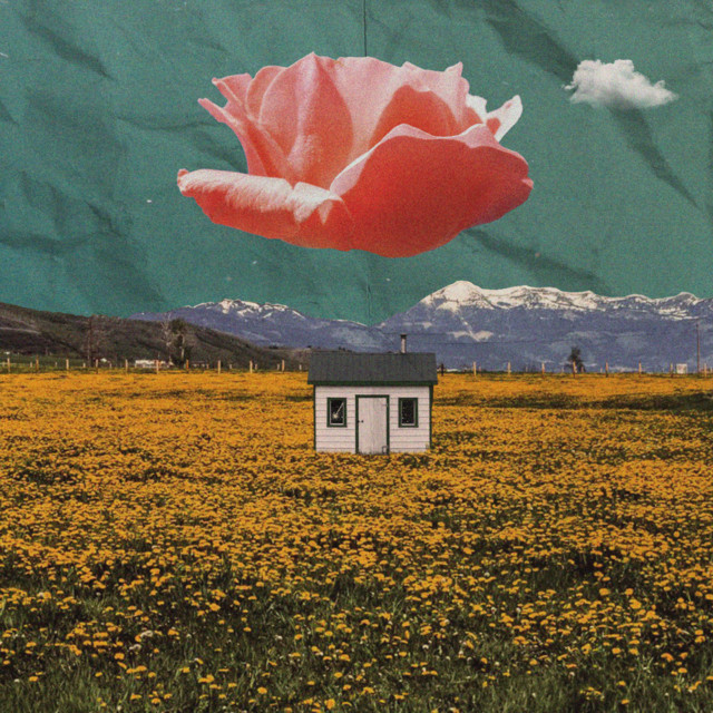 pollen cover art