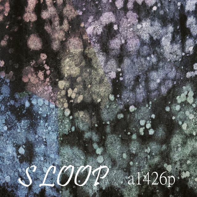 S Loop cover