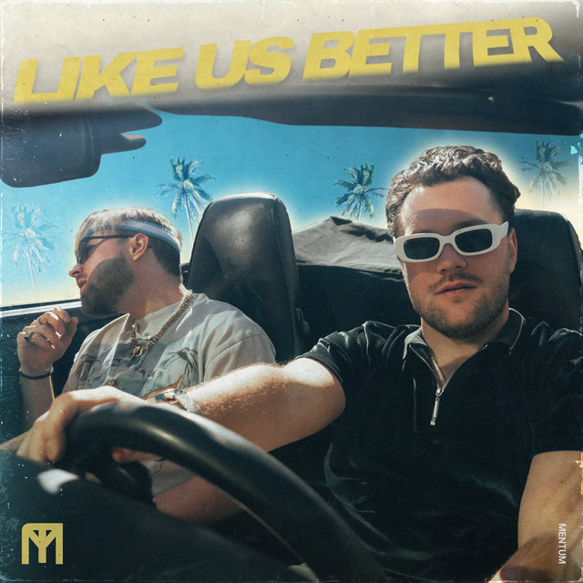 Cover of Like Us Better by Mentum