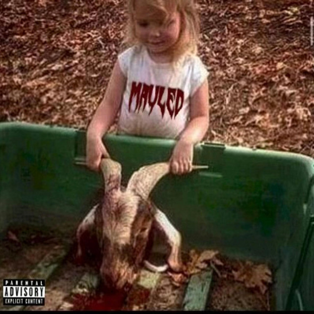 Wrath cover art